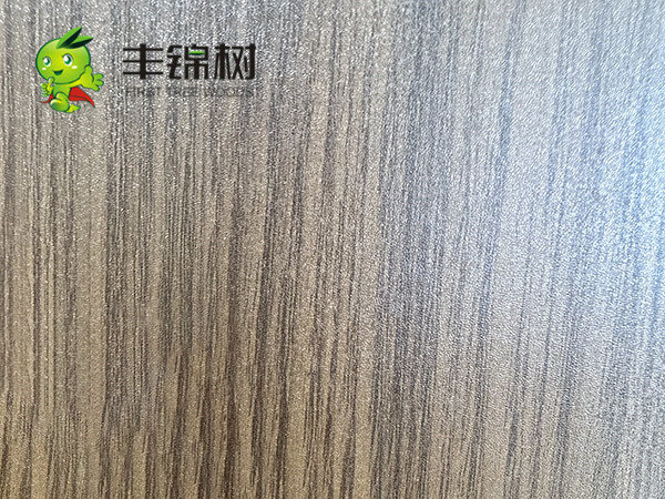 鏡面夢(mèng)里水鄉